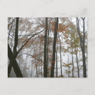 Foggy Fall in Pennsylvania Herbst Natur Postkarte