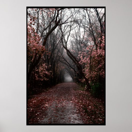 Foggy Fall Trail Poster (Vorne)