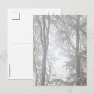 Foggy Forest Nature Foto Postkarte