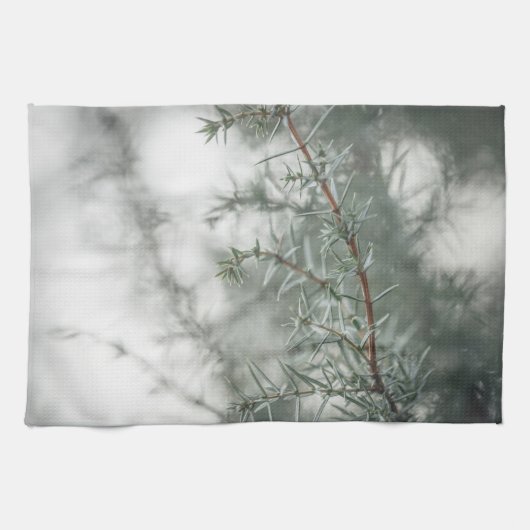 Foggy Forest Nature Fotograph Kitchen Towel Geschirrtuch (Horizontal)