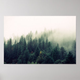 Foggy Forest Poster