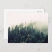 Foggy Forest Postkarte (Vorne/Hinten)