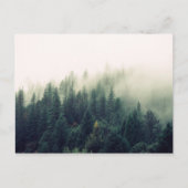 Foggy Forest Postkarte (Vorderseite)