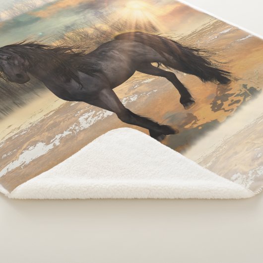 Foggy Friesian Morning Sherpadecke (3/4)