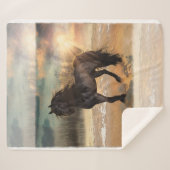 Foggy Friesian Morning Sherpadecke (Vorderseite (Horizontal))