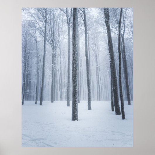 Foggy gefrorener Winterwald Poster (Vorne)