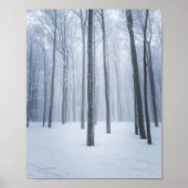 Foggy gefrorener Winterwald Poster (Vorne)