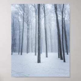 Foggy gefrorener Winterwald Poster