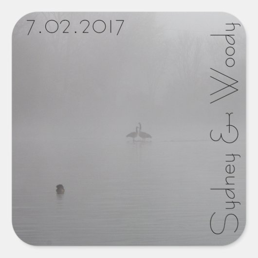 Foggy Gese Quadratischer Aufkleber (Vorderseite)