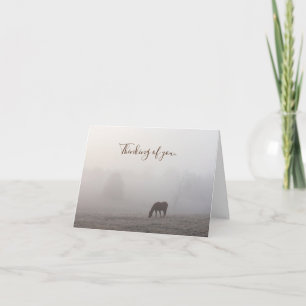 Foggy Grazing Denken Sie an Ihre Karte
