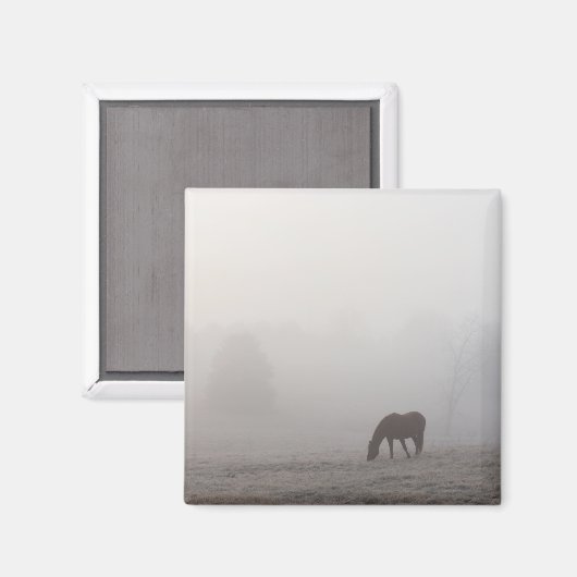 Foggy Grazing Magnet (Vorderseite/Rückseite)