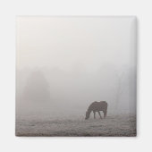Foggy Grazing Magnet (Vorne)