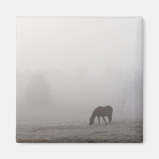 Foggy Grazing Magnet (Vorne)