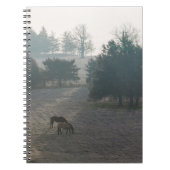 Foggy Grazing Notizblock (Vorderseite)