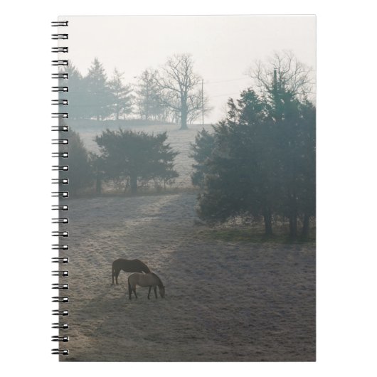 Foggy Grazing Notizblock (Vorderseite)