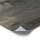 Foggy Grazing Poster (Ecke)