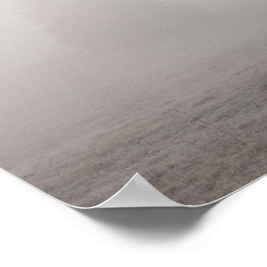 Foggy Grazing Poster (Ecke)
