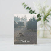 Foggy Grazing Postkarte (Stehend Vorderseite)