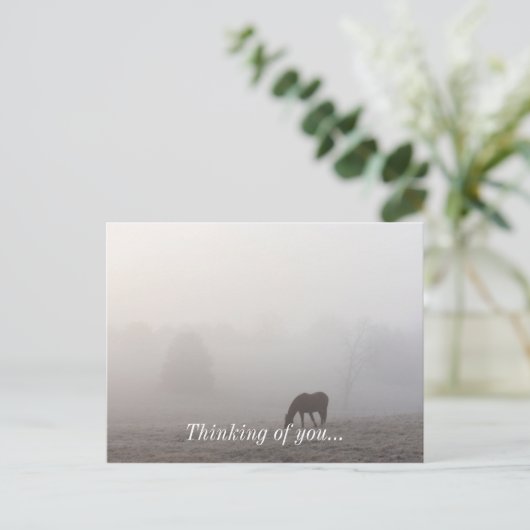 Foggy Grazing Postkarte (Stehend Vorderseite)