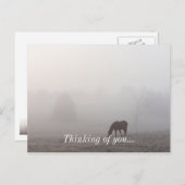 Foggy Grazing Postkarte (Vorne/Hinten)