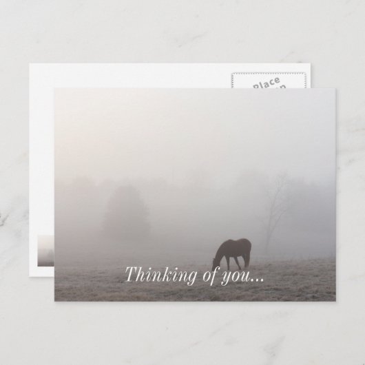 Foggy Grazing Postkarte (Vorne/Hinten)