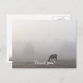 Foggy Grazing Postkarte (Vorne/Hinten)