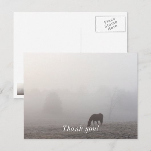 Foggy Grazing Postkarte (Vorne/Hinten)