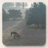 Foggy Grazing Untersetzer (Vorderseite)