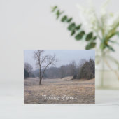 Foggy Meadow Postkarte (Stehend Vorderseite)