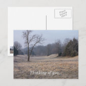 Foggy Meadow Postkarte (Vorne/Hinten)