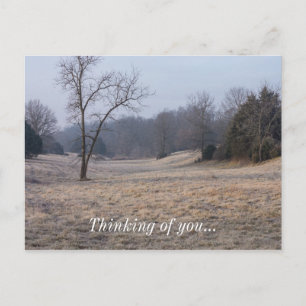Foggy Meadow Postkarte