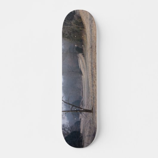 Foggy Meadow Skateboard (Vorne)