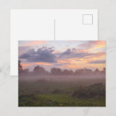 Foggy Michigan Sunset Postkarte (Vorne/Hinten)