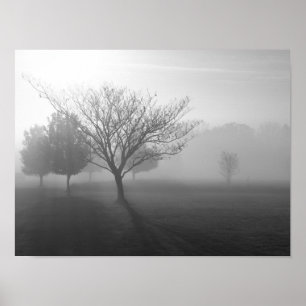 Foggy Misty Morning im Ozarks Poster
