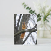 Foggy Morning Eichhörrel Postkarte (Stehend Vorderseite)