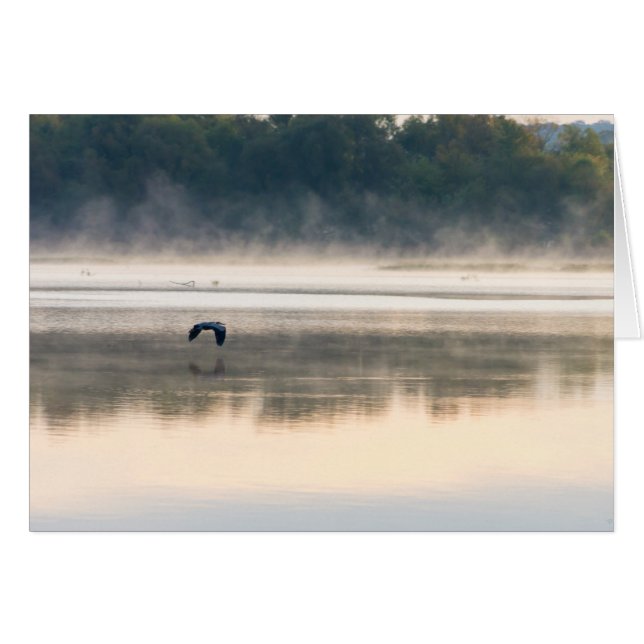 Foggy Morning Flight (Vorderseite (Horizontal))