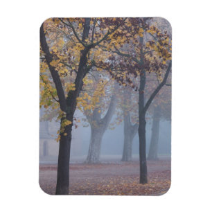 Foggy Morning im Dom Park Magnet