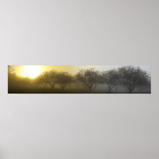 Foggy Morning Panoramic Poster (Vorne)