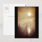 Foggy Morning Postkarte (Vorne/Hinten)