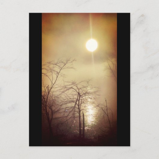 Foggy Morning Postkarte (Vorderseite)