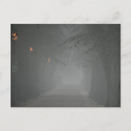 Foggy Morning Postkarte (Vorderseite)