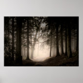 Foggy Morning Rushmere Country Park (0840) Poster (Vorne)