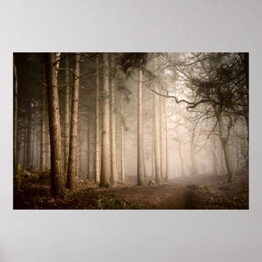 Foggy Morning Rushmere Country Park (0842) Poster (Vorne)