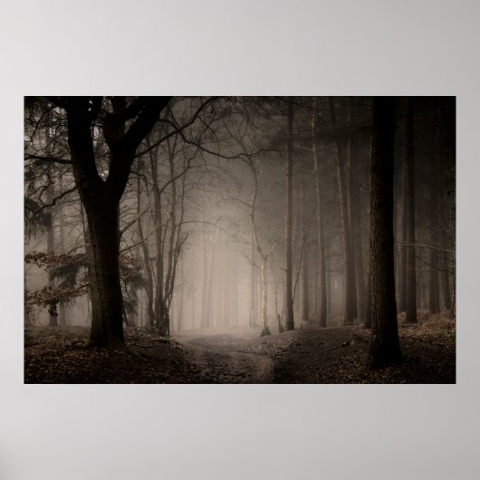 Foggy Morning Rushmere Country Park (0856) Poster (Vorne)