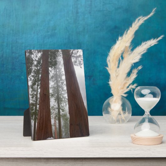 Foggy Morning & Spring Snow unter Riesenreihenfolg Fotoplatte (Seite)