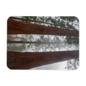 Foggy Morning & Spring Snow unter Riesenreihenfolg Magnet (Horizontal)