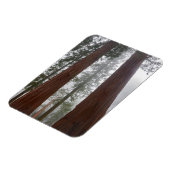 Foggy Morning & Spring Snow unter Riesenreihenfolg Magnet (Linke Seite)