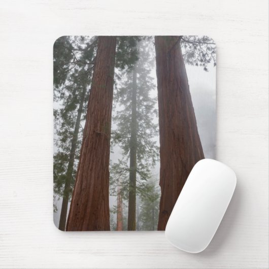 Foggy Morning & Spring Snow unter Riesenreihenfolg Mousepad (Mit Mouse)