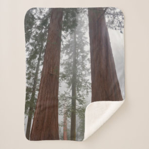 Foggy Morning & Spring Snow unter Riesenreihenfolg Sherpadecke