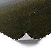 Foggy Morning Tree Poster (Ecke)